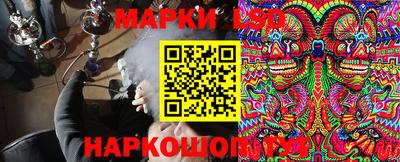 молекула духа Кандалакша