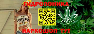 ECSTASY Кингисепп