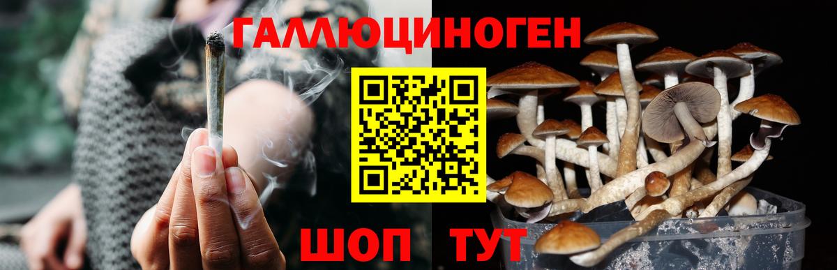 Галлюциногенные грибы GOLDEN TEACHER  Вход с VPN  магазин продажи   Краснодар 